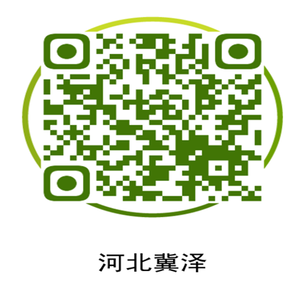 百乐博